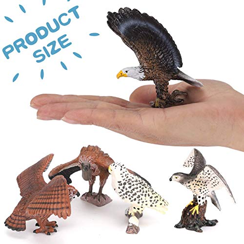 5 figuras de aves de presa, réplica de animales realistas de plástico, figuras de juguete, juego educativo para colección (aves de presa)