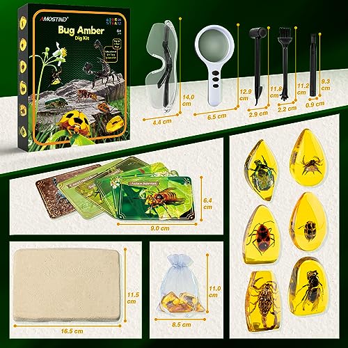 AMOSTING Juegos educativos niños 6 7 8 9 10-12 años - fósil de ámbar - gemas de insectos de resina sintética - kit de excavación con herramienta de excavación, lupa, guía de estudio y bolsa