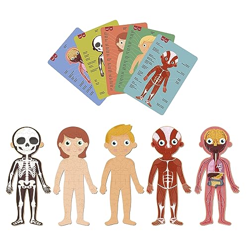 APLI Kids 19438 - Kit Puzles educativos Cuerpo Humano: 5 puzzles de 48 piezas y 15 fichas para aprender todo sobre cuerpo humano. Incluye un puzle fluorescente. Recomendado a partir de 5 años