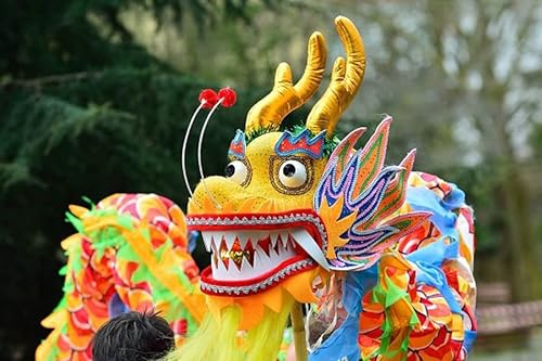 ARTREP Tamaño de la Danza del dragón de Seda de 5,5 m para 6 Jugadores, Fiesta de actuación de Año Nuevo Chino, Desfile de Halloween, Escenario folclórico, Danza del dragón Chino