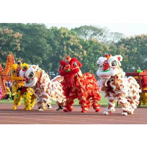 ASSICON Danza del dragón Chino, Danza del dragón para Adultos, Accesorios de León del Sur, Danza del león clásica, Arte folclórico Tradicional para Puesta en Escena