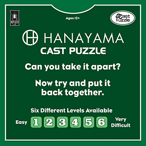 BePuzzled Hanayama Keyhole Level 4 Puzzle by Bepuzzled