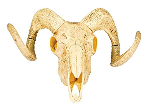 Boland Decoración de cráneo de Animales 28 x 36 cm, Color Amarillo/Blanco, (54319)