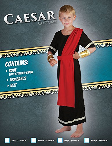 Bristol Novelty- Conjunto de Disfraz César niños | Negro Caesar Accesorio, Color, M (CC202)