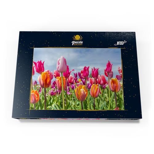 Campo De Tulipanes Naranja-Amarillo - Premium 1000 Piezas Puzzles - Colección Especial MyPuzzle de Puzzle Galaxy