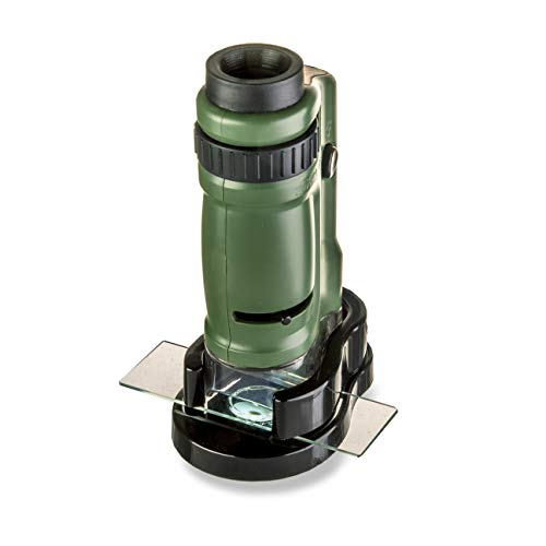 Carson MicroBrite 20x-40x microscopio de Bolsillo con luz LED para Aprendizaje, educación y exploración, Juego de 6 (MM-24MU)
