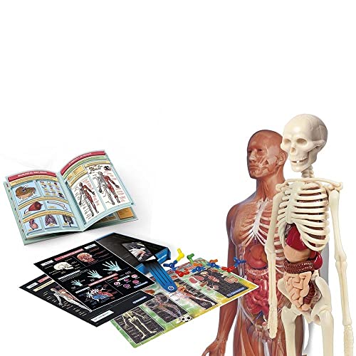 Clementoni, Laboratorio de Anatomía, Juego Educativo de Ciencias, Aprende Anatomía y Cuerpo Humano, Juguete niños 8 años, Juguete en español (55485)