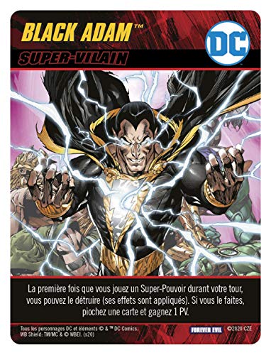 Don't Panic Games DC Comics Deck-Building Game: Forever Evil – Versión Francesa GAME1086