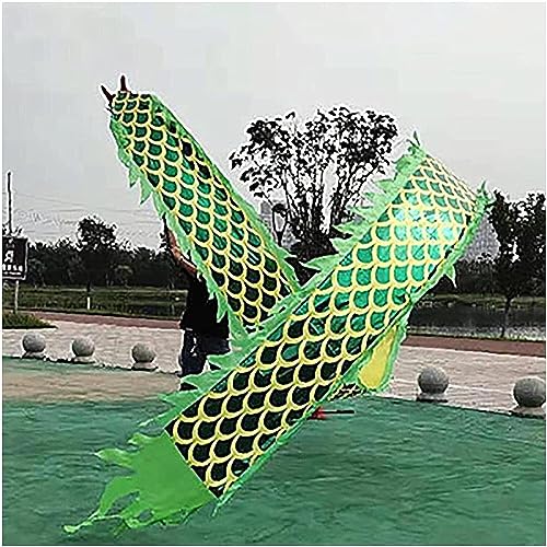 EPANO Cinta De Danza del Dragón 3D China Fitness al Aire Libre Danza del dragón Estampada en Caliente de Doble Cara (Estilo Verde de 6 m / 8 m / 10 m) (Size : 6m)