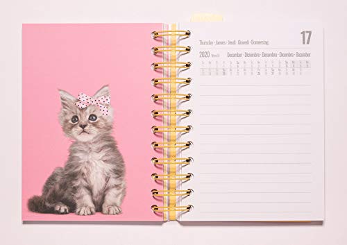 ERIK - Agenda escolar 2020/2021 día página S Studio Pets Cats, 11 meses (11,4x16 cm)
