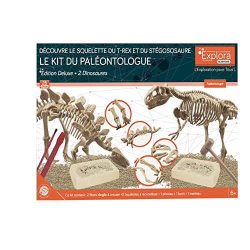 EXPLORA - 2 Esqueletos de Dinosaurios - Kit de Paleontólogo - 039402 - Yeso para Excavar - Juego para Niños - Científico - Aventura - Divertido - Fósiles - A Partir de 6 años