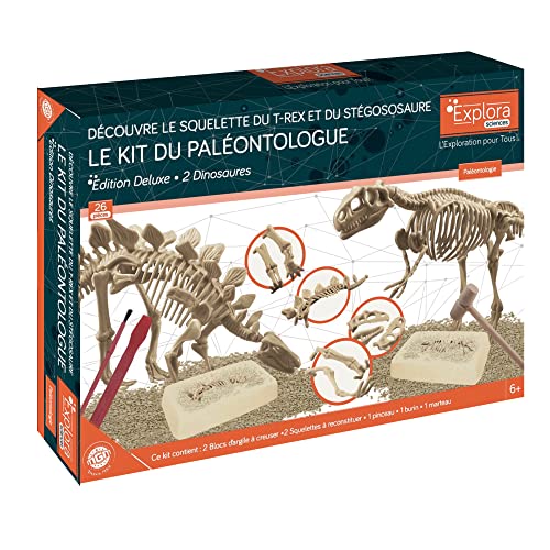 EXPLORA - 2 Esqueletos de Dinosaurios - Kit de Paleontólogo - 039402 - Yeso para Excavar - Juego para Niños - Científico - Aventura - Divertido - Fósiles - A Partir de 6 años