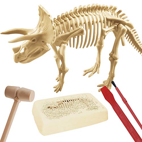 EXPLORA - Triceratops - Kit de Paleontólogo - 039399 - Yeso para Excavar - Dinosaurios - Juego para Niños - Científico - Educativo - Aventura - Divertido - Juguete - A Partir de 6 años