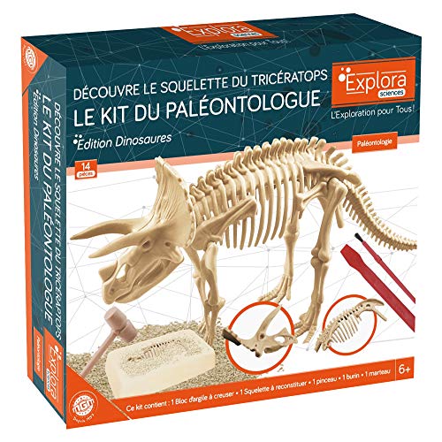 EXPLORA - Triceratops - Kit de Paleontólogo - 039399 - Yeso para Excavar - Dinosaurios - Juego para Niños - Científico - Educativo - Aventura - Divertido - Juguete - A Partir de 6 años