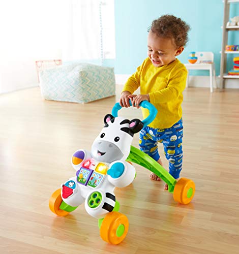 Fisher-Price Cebra parlanchina primeros pasos, andador correpasillos bebé +6 meses (Mattel GXC34) & Ríe y Aprende - Perrita primeros descubrimientos, juguetes bebe 6 meses, 1 Unidad(Mattel FPP55)