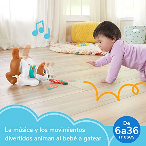 Fisher-Price Perrito Gatea y juega conmigo, juguete educativo con sonido y movimientos para bebés +6 meses, versión español (HGY57)