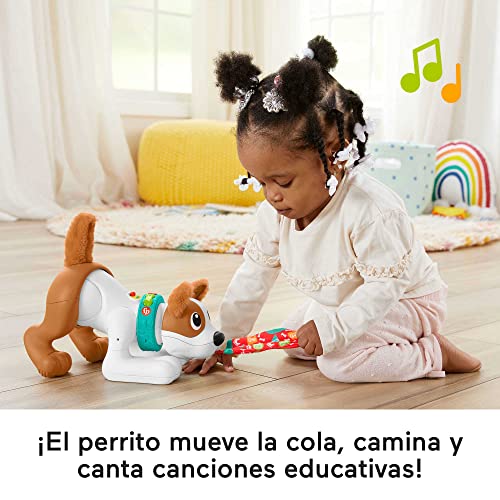 Fisher-Price Perrito Gatea y juega conmigo, juguete educativo con sonido y movimientos para bebés +6 meses, versión español (HGY57)