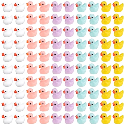 Fizdoqg 100 Piezas Mini Patos de Resina, Patos de Resina, Patos de Resina en Miniatura, Coloridos Patos Pequeños para Jardín, Paisaje, Casa de Muñecas, Decoración del Hogar (5 Colores)