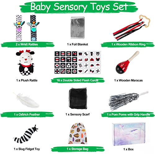 FNYUN Kit de juguetes sensoriales de 12 piezas, juguetes para recién nacidos, tarjetas sensoriales en blanco y negro, juego de juguetes sensoriales para bebés de 3, 6, 9, 12 meses