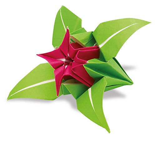 Folia 9100 - Hojas Plegables para Origami (10 x 10 cm, 80 g/m², 96 Hojas, 12 Colores Diferentes)