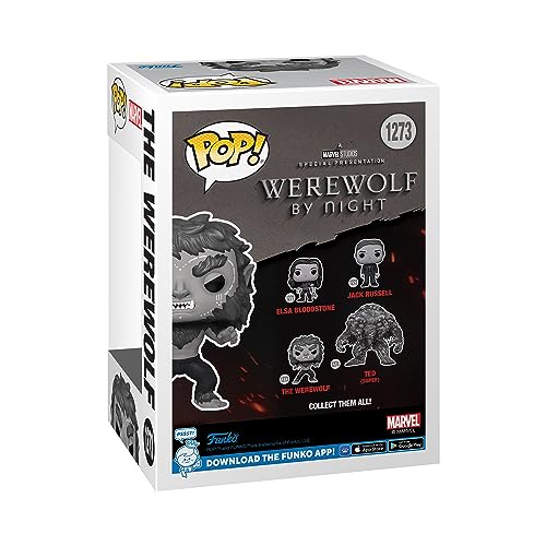 Funko Pop! Marvel: Werewolf by Night - Werewolf - Figura de Vinilo Coleccionable - Idea de Regalo- Mercancia Oficial - Juguetes para Niños y Adultos - TV Fans - Muñeco para Coleccionistas