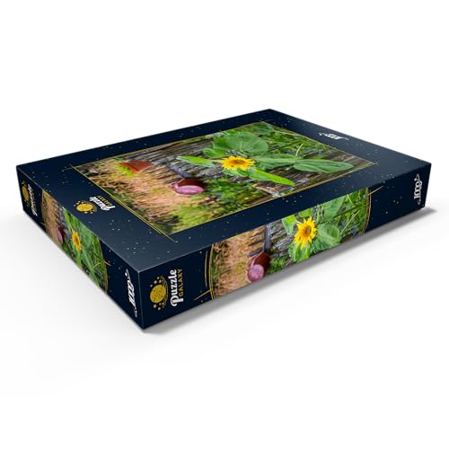 Huerto Agrícola En El Albergue Forestal Adlgaß De Inzell, Alta Baviera - Premium 1000 Piezas Puzzles - Colección Especial MyPuzzle de Puzzle Galaxy