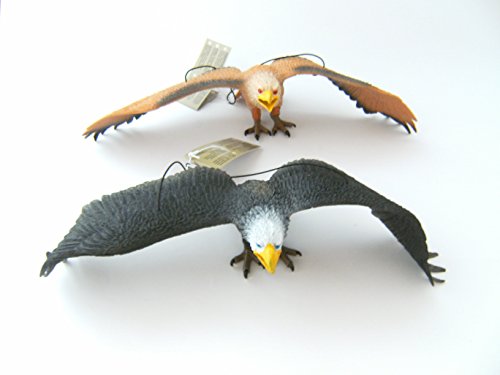 Juego de 2 águila de 33 cm de caucho, pájaros, pájaros, pájaros, aves y animales