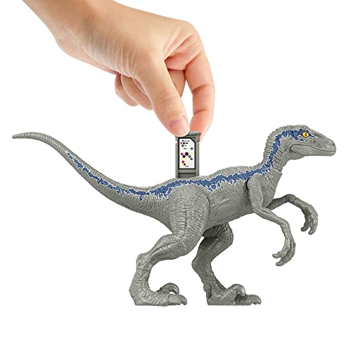 Jurassic World Dominion Pack Owen, Yangchuanosaurus y Velociraptor Blue Figura de juguete con dos dinosaurios y accesorios, juguete +4 años (Mattel HLP79)