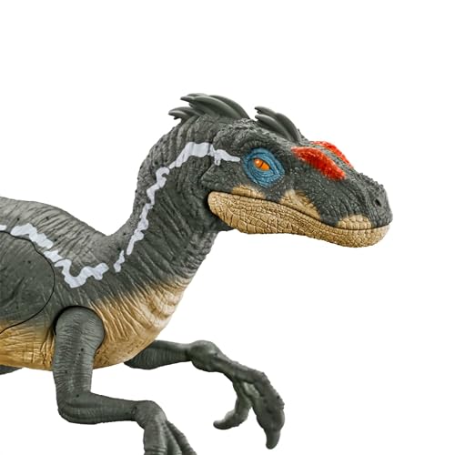 Jurassic World Raptor Dinosaurio de juguete articulado, regalo +4 años (Mattel HNC11)