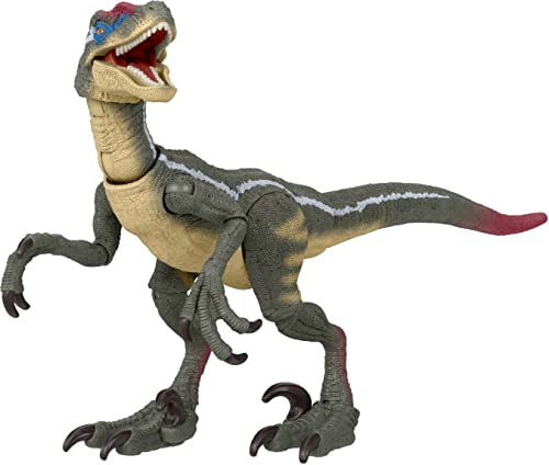 Jurassic World Velociraptor Colección Hammond Figura de acción Dinosaurio Coleccionable articulado, Juguete +8 años (Mattel HLT49)