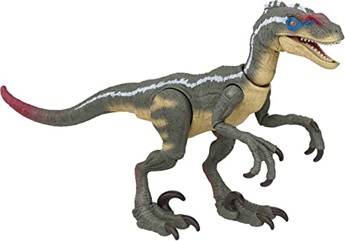 Jurassic World Velociraptor Colección Hammond Figura de acción Dinosaurio Coleccionable articulado, Juguete +8 años (Mattel HLT49)