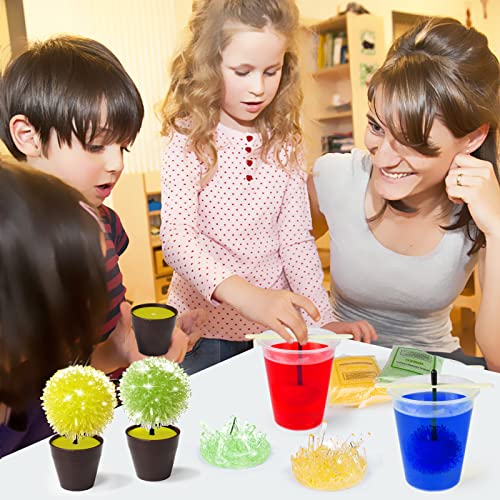 KIDCHEER Experimentos para Niños, Crecer Cristales Crecimiento Rápido en 24h, Juguetes Científicos para Niños y Niñas, Juegos Educativos de Ciencias para 6+ Años, Forma de Flor, 4 Colores
