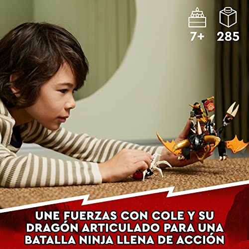LEGO 71782 Ninjago Dragón de Tierra EVO de Cole, Animal de Juguete para Niños y Niñas, Figura de Escorpión, Juego de Acción con Mini Figuras Ninja