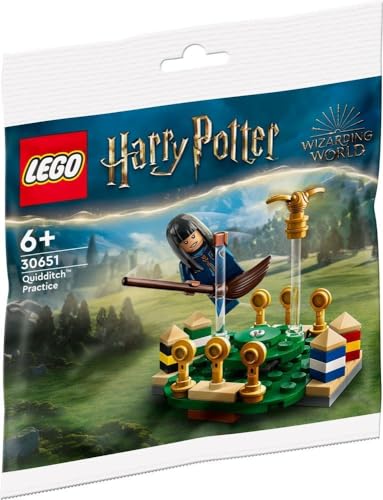 LEGO® Harry Potter 30651 Quidditch Training