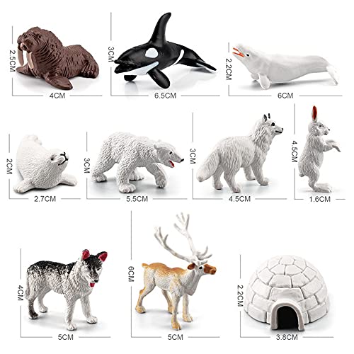 NatureMan Juego de juguetes de animales del Ártico, 10 figuras de animales polares, incluye oso polar, foca reno, lobo, conejo, zorro ártico, iglú para niños pequeños, regalo de cumpleaños