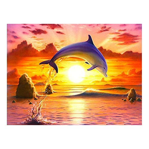 Puzzle 1000 Piezas para Adultos, Puzzles Souvenir Regalo Obra de Arte de Juego de Adulto Rompecabezas para Delfines más allá del mar Multicolor 26X38cm（10.23X14.96inch）