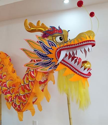 SAAKO Danza del dragón de Seda 5,5 m (18 pies) Danza del dragón para Adultos Año Nuevo Chino 3D Danza del dragón de Seda Colorida Deportes al Aire Libre dragón Fitness Cinta Interesante