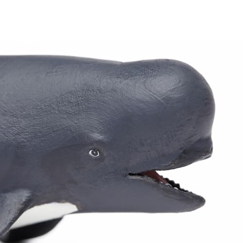 Safari Ltd.- Miniatura Sea Life Pilot Whale Animals, Color Gris, L (205629)
