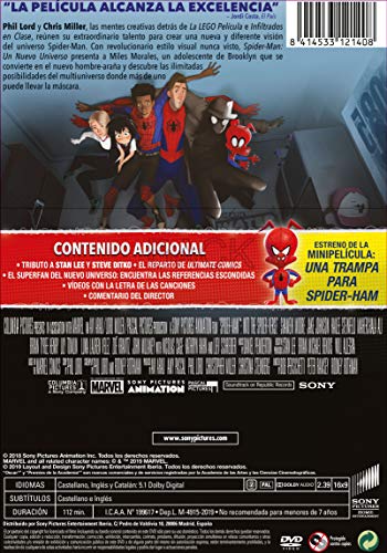 Spider-Man: Un Nuevo Universo [DVD]