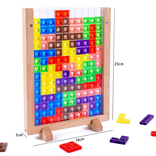 Tetris del Juguete Acrílico, Juguetes Montessori niños 3 4 5 6 años, 3D Transparente Cerebro Juguete Rompecabezas Inteligencia Colorido Bloques, Geométricos Juego Educativo Regalopara Niños