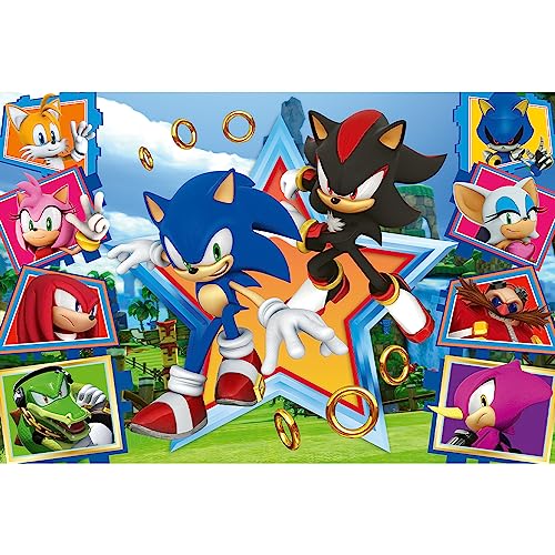 Trefl The Hedgehog, Conoce 100 Piezas-Puzle de Colores con los Personajes del Videojuego Sonic, Entretenimiento Creativo, Juego para niños a Partir de 5 años, Multicolor (16465)