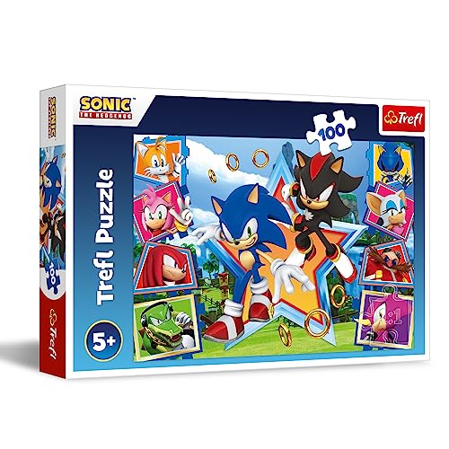 Trefl The Hedgehog, Conoce 100 Piezas-Puzle de Colores con los Personajes del Videojuego Sonic, Entretenimiento Creativo, Juego para niños a Partir de 5 años, Multicolor (16465)