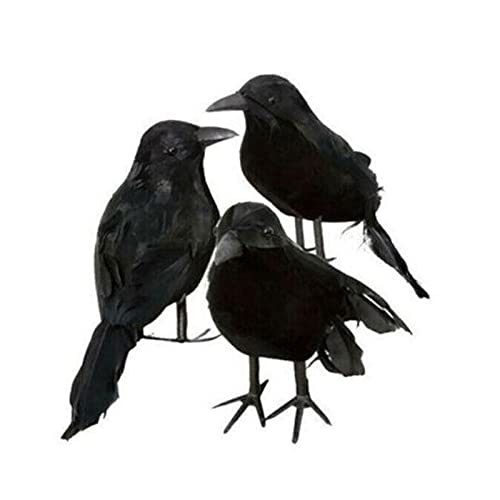 3pcs Halloween Plumas Negras realistas Buscando pájaros Decoración de Halloween Accesorios Oficina Chica Adolescente (Negro, 10cm)