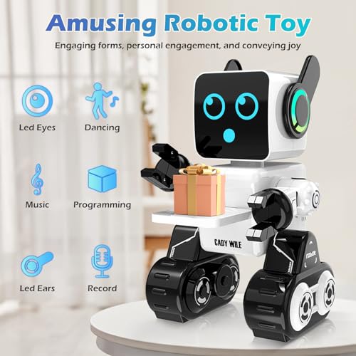 anysun Robot de Juguete para Niños, Smart RC Robots con Toque, Aplicación y Control Remoto, Robot de Juguete Programable, Camina, Baila, Canta, Habla, Regalo Ideal para Niños y Niñas