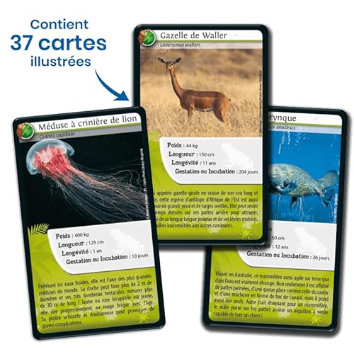 Bioviva – Juego de 3 juegos de cartas desafíos Naturaleza – Reyes del Camuflaje, Animales Inspiradores y Animales Extraordinarios