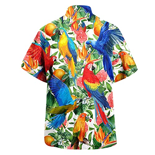 Camiseta clásica para hombre de moda primavera/verano moda casual estampado parrot fiesta playa estampado suelto camisa manga corta hombre moda clásica camiseta, azul, M