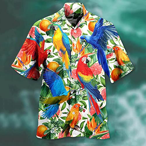 Camiseta clásica para hombre de moda primavera/verano moda casual estampado parrot fiesta playa estampado suelto camisa manga corta hombre moda clásica camiseta, azul, M