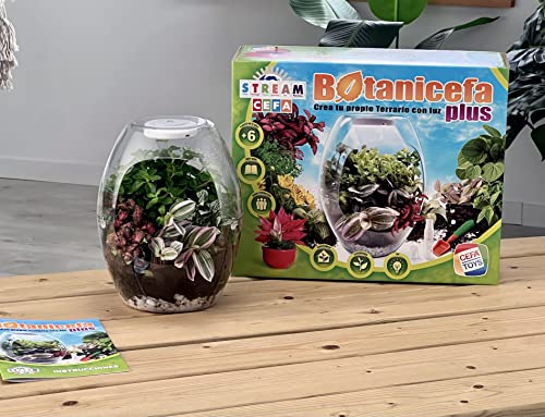 Cefa Toys - Botanicefa Plus, Juego Educativo, Terrario con Luz, Incluye Libro Guía, Apto para Niños a Partir de 6 Años, Capa de drenaje - piedras / arena de sílice.
