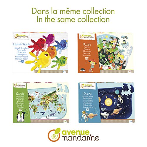 Clairefontaine ES Avenue Mandarine PU014C - Un Puzzle 76 pièces avec un poster servant de guide inclus, Planisphère