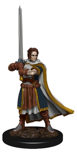 D&D: Iconos de los Reinos: Figura Premium: Humano Fighter Male